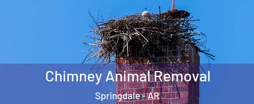  Chimney Animal Removal Springdale - AR