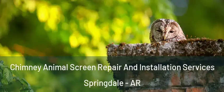  Chimney Animal Screen Repair And Installation Services Springdale - AR