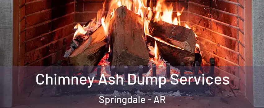  Chimney Ash Dump Services Springdale - AR