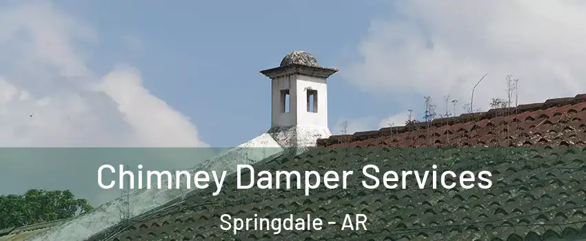  Chimney Damper Services Springdale - AR
