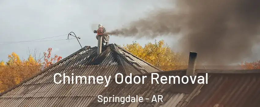  Chimney Odor Removal Springdale - AR