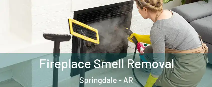  Fireplace Smell Removal Springdale - AR