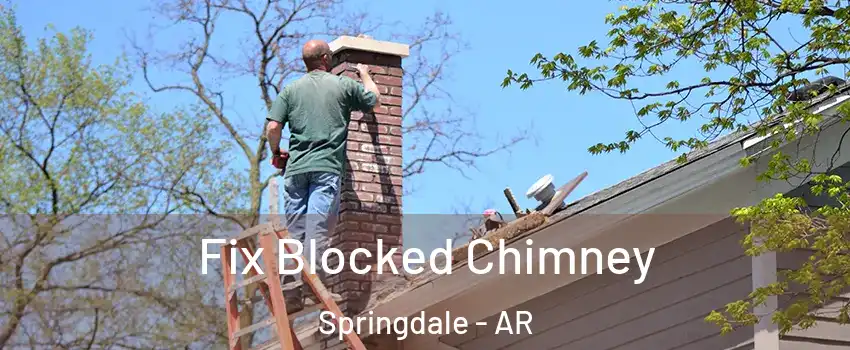  Fix Blocked Chimney Springdale - AR