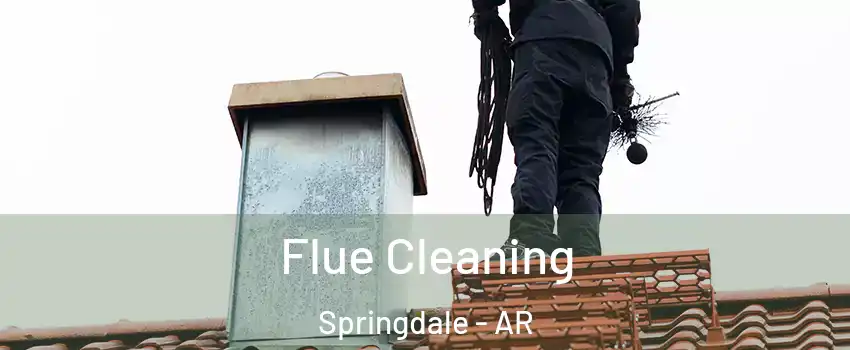  Flue Cleaning Springdale - AR