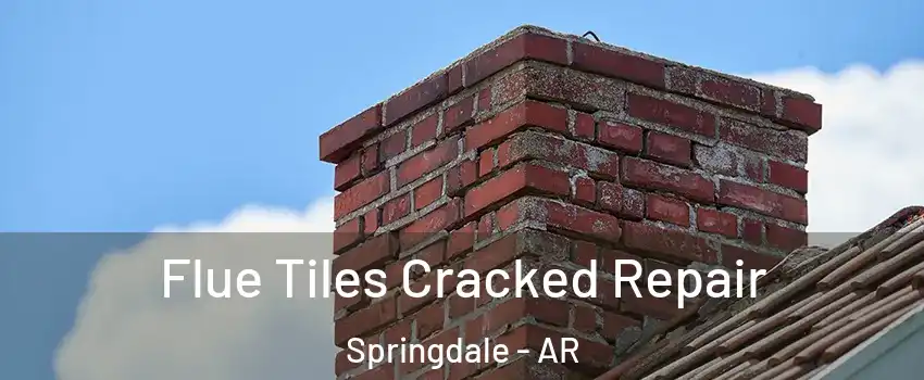  Flue Tiles Cracked Repair Springdale - AR