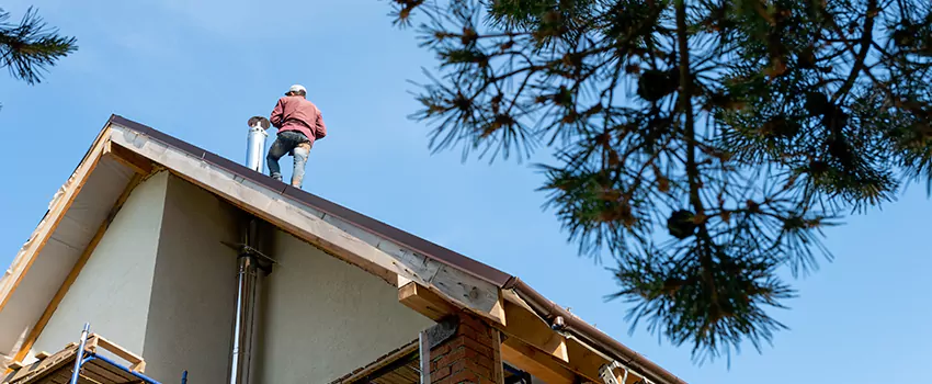 Birds Removal Contractors from Chimney in Springdale, AR