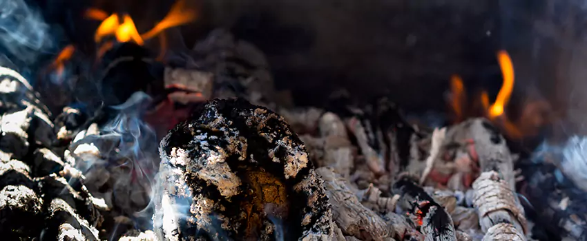 Creosote Removal Experts in Springdale, AR