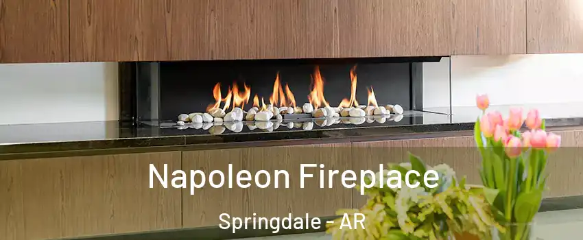  Napoleon Fireplace Springdale - AR